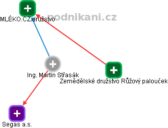 Martin Střasák - Vizualizace  propojení osoby a firem v obchodním rejstříku