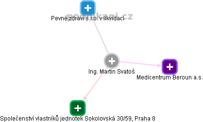 Martin Svatoš - Vizualizace  propojení osoby a firem v obchodním rejstříku