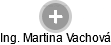  Martina V. - Vizualizace  propojení osoby a firem v obchodním rejstříku