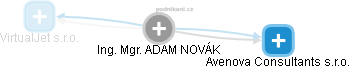 ADAM NOVÁK - Vizualizace  propojení osoby a firem v obchodním rejstříku