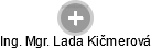  Lada K. - Vizualizace  propojení osoby a firem v obchodním rejstříku