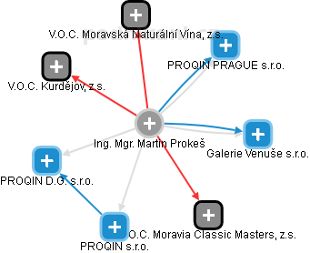 Martin Prokeš - Vizualizace  propojení osoby a firem v obchodním rejstříku