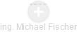 Michael Fischer - Vizualizace  propojení osoby a firem v obchodním rejstříku