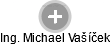  Michael V. - Vizualizace  propojení osoby a firem v obchodním rejstříku