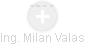 Milan Valas - Vizualizace  propojení osoby a firem v obchodním rejstříku