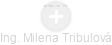 Milena Tribulová - Vizualizace  propojení osoby a firem v obchodním rejstříku