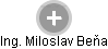 Miloslav Beňa - Vizualizace  propojení osoby a firem v obchodním rejstříku