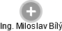 Miloslav Bílý - Vizualizace  propojení osoby a firem v obchodním rejstříku