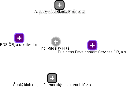 Miloslav Plašil - Vizualizace  propojení osoby a firem v obchodním rejstříku
