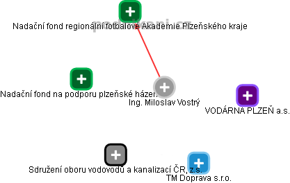 Miloslav Vostrý - Vizualizace  propojení osoby a firem v obchodním rejstříku