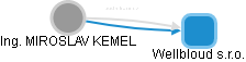  Kemel M. - Vizualizace  propojení osoby a firem v obchodním rejstříku