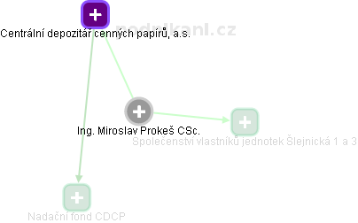  Miroslav P. - Vizualizace  propojení osoby a firem v obchodním rejstříku