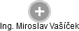 Miroslav Vašíček - Vizualizace  propojení osoby a firem v obchodním rejstříku