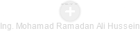 Mohamad Ramadan Ali Hussein - Vizualizace  propojení osoby a firem v obchodním rejstříku
