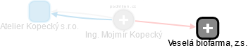 Mojmír Kopecký - Vizualizace  propojení osoby a firem v obchodním rejstříku