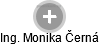  Monika Č. - Vizualizace  propojení osoby a firem v obchodním rejstříku