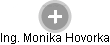 Monika Hovorka - Vizualizace  propojení osoby a firem v obchodním rejstříku