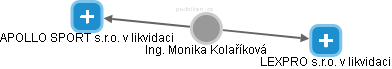  Monika K. - Vizualizace  propojení osoby a firem v obchodním rejstříku