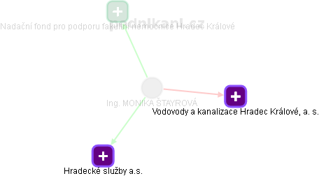 MONIKA ŠTAYROVÁ - Vizualizace  propojení osoby a firem v obchodním rejstříku