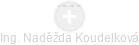 Naděžda Koudelková - Vizualizace  propojení osoby a firem v obchodním rejstříku