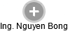Nguyen Bong - Vizualizace  propojení osoby a firem v obchodním rejstříku