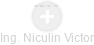 Niculin Victor - Vizualizace  propojení osoby a firem v obchodním rejstříku