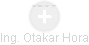 Otakar Hora - Vizualizace  propojení osoby a firem v obchodním rejstříku