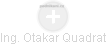 Otakar Quadrát - Vizualizace  propojení osoby a firem v obchodním rejstříku