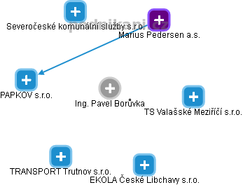 Pavel Borůvka - Vizualizace  propojení osoby a firem v obchodním rejstříku