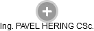 PAVEL HERING - Vizualizace  propojení osoby a firem v obchodním rejstříku