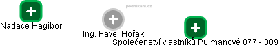 Pavel Hořák - Vizualizace  propojení osoby a firem v obchodním rejstříku