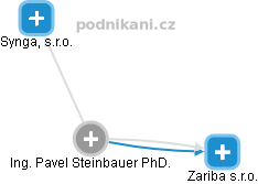 Pavel Steinbauer - Vizualizace  propojení osoby a firem v obchodním rejstříku