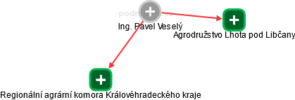 Pavel Veselý - Vizualizace  propojení osoby a firem v obchodním rejstříku