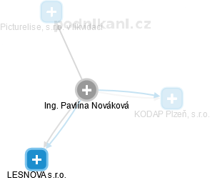 Pavlína Nováková - Vizualizace  propojení osoby a firem v obchodním rejstříku