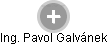 Pavol Galvánek - Vizualizace  propojení osoby a firem v obchodním rejstříku