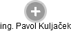 Pavol Kuljaček - Vizualizace  propojení osoby a firem v obchodním rejstříku