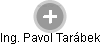Pavol Tarábek - Vizualizace  propojení osoby a firem v obchodním rejstříku