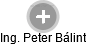  Peter B. - Vizualizace  propojení osoby a firem v obchodním rejstříku