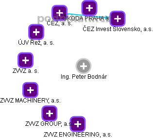 Peter Bodnár - Vizualizace  propojení osoby a firem v obchodním rejstříku