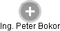  Peter B. - Vizualizace  propojení osoby a firem v obchodním rejstříku