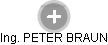 PETER BRAUN - Vizualizace  propojení osoby a firem v obchodním rejstříku