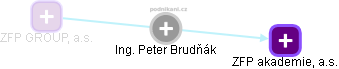 Peter Brudňák - Vizualizace  propojení osoby a firem v obchodním rejstříku