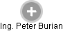 Peter Burian - Vizualizace  propojení osoby a firem v obchodním rejstříku
