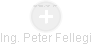  Peter F. - Vizualizace  propojení osoby a firem v obchodním rejstříku