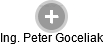 Peter Goceliak - Vizualizace  propojení osoby a firem v obchodním rejstříku