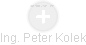 Peter Kolek - Vizualizace  propojení osoby a firem v obchodním rejstříku