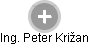 Peter Križan - Vizualizace  propojení osoby a firem v obchodním rejstříku