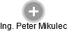 Peter Mikulec - Vizualizace  propojení osoby a firem v obchodním rejstříku