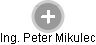 Peter Mikulec - Vizualizace  propojení osoby a firem v obchodním rejstříku