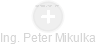 Peter Mikulka - Vizualizace  propojení osoby a firem v obchodním rejstříku